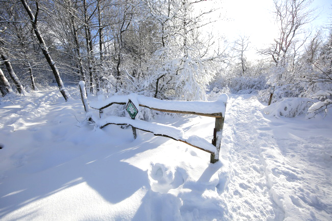 Ulrich simons - Winter im Hohen Venn